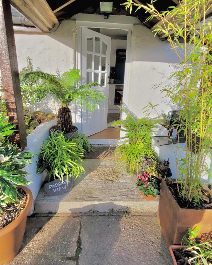 Idyllic Cornish Cottage, Superking Bed, Private Garden Dogs Welcome Truro Esterno foto