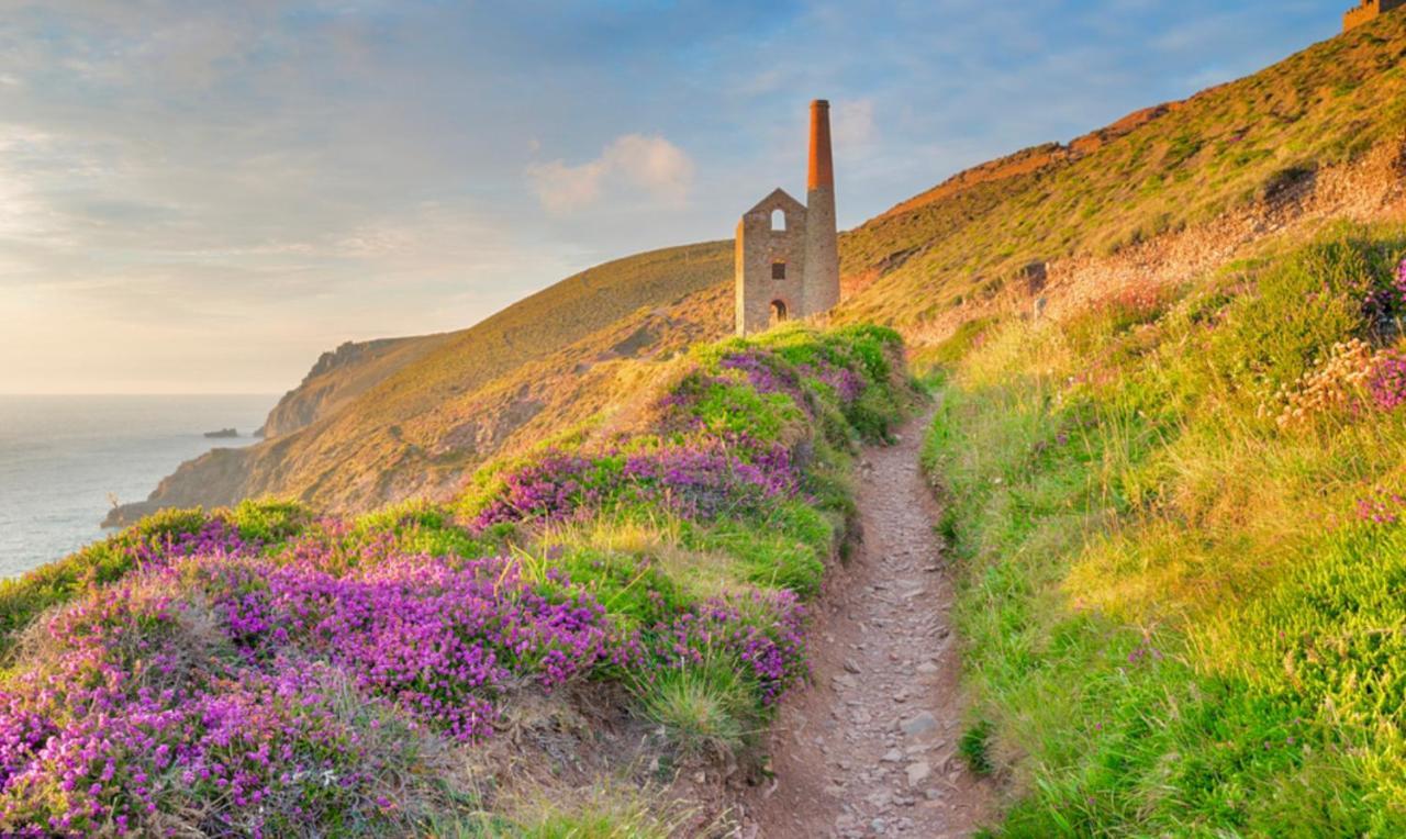 Idyllic Cornish Cottage, Superking Bed, Private Garden Dogs Welcome Truro Esterno foto