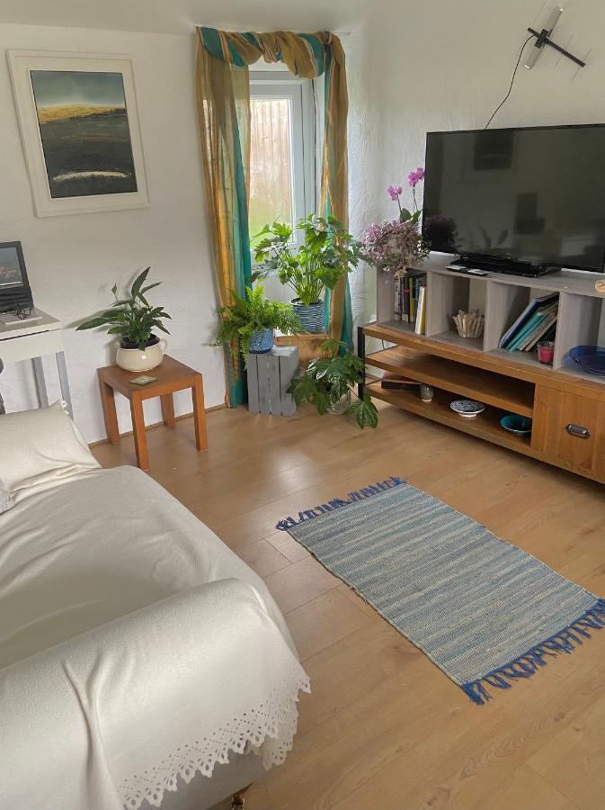 Idyllic Cornish Cottage, Superking Bed, Private Garden Dogs Welcome Truro Esterno foto