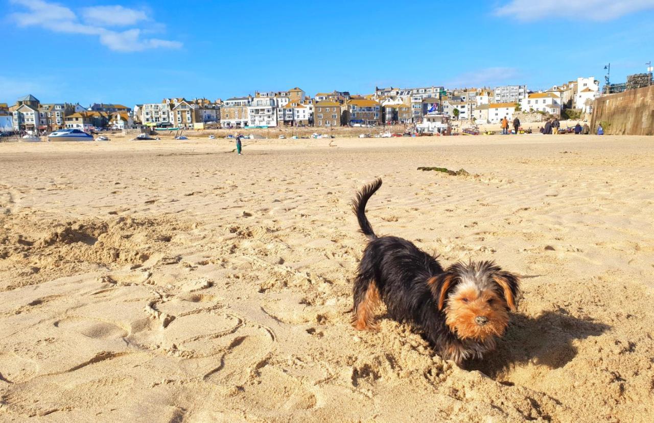 Idyllic Cornish Cottage, Superking Bed, Private Garden Dogs Welcome Truro Esterno foto