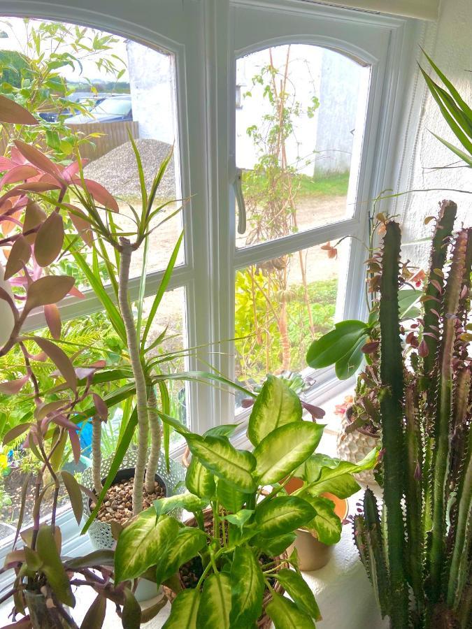 Idyllic Cornish Cottage, Superking Bed, Private Garden Dogs Welcome Truro Esterno foto